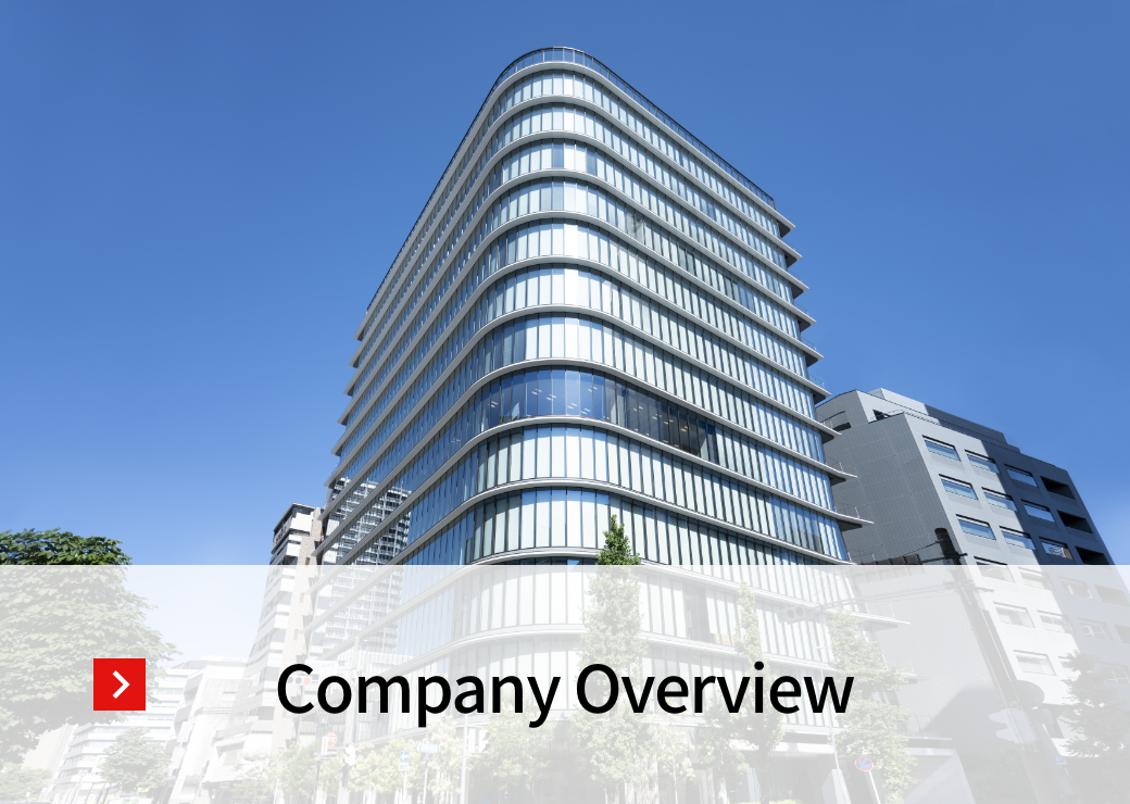 Company overview