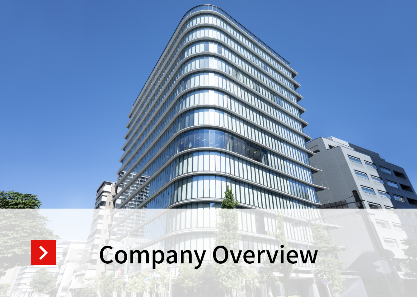 Company overview